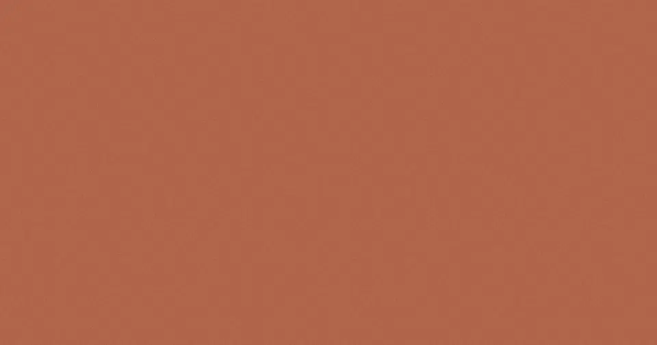 The same terracotta cover with a light film grain over it - the surface now reads tactile and treated rather than flat.
