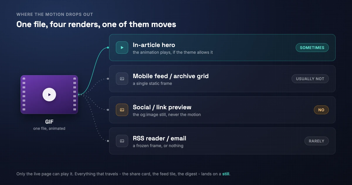 One animated GIF file feeds four renders. A solid line reaches the in-article hero, marked Sometimes, where the animation can play. Dotted lines reach the mobile feed, the social link preview, and the RSS or email render - each marked Usually not, No, or Rarely, and each showing a single static frame.